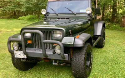 Jeep Wrangler 1995 SUV