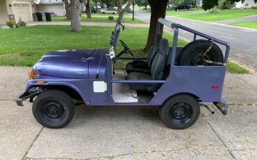 Jeep-am-general-1974-purple-1