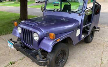 Jeep-am-general-1974-purple-19
