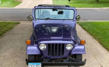 Jeep-am-general-1974-purple-20