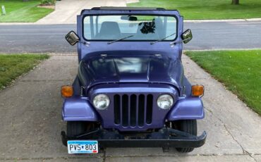 Jeep-am-general-1974-purple-21