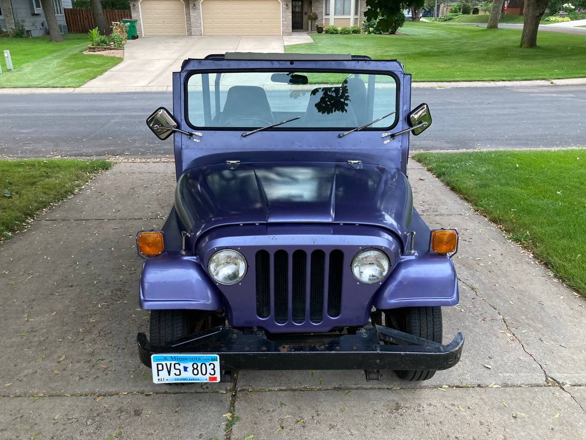 Jeep-am-general-1974-purple-21