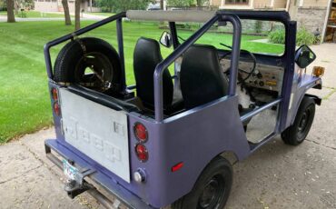 Jeep-am-general-1974-purple-3