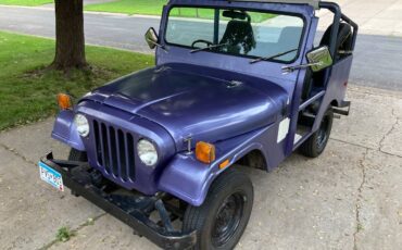 Jeep-am-general-1974-purple
