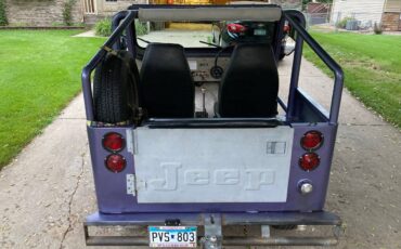 Jeep-am-general-1974-purple-4