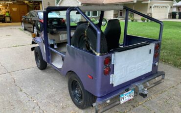 Jeep-am-general-1974-purple-5