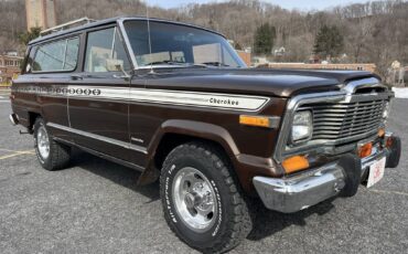 Jeep-cherokee-1979-brown