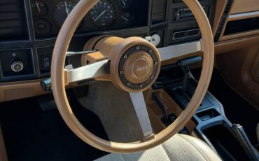 Jeep-cherokee-1987-brown-3
