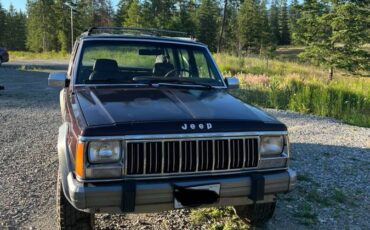 Jeep-cherokee-1992-purple-1