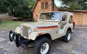 Jeep-cj-5-1974-12