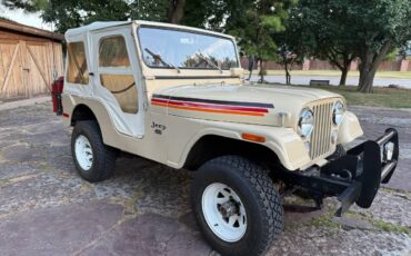 Jeep-cj-5-1974-5