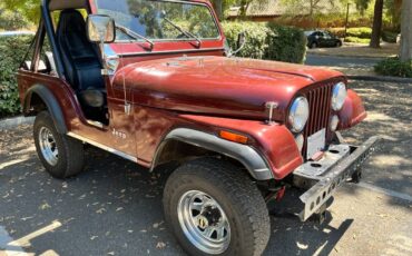 Jeep-cj-5-1979-2