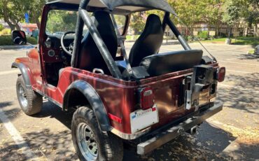 Jeep-cj-5-1979-3
