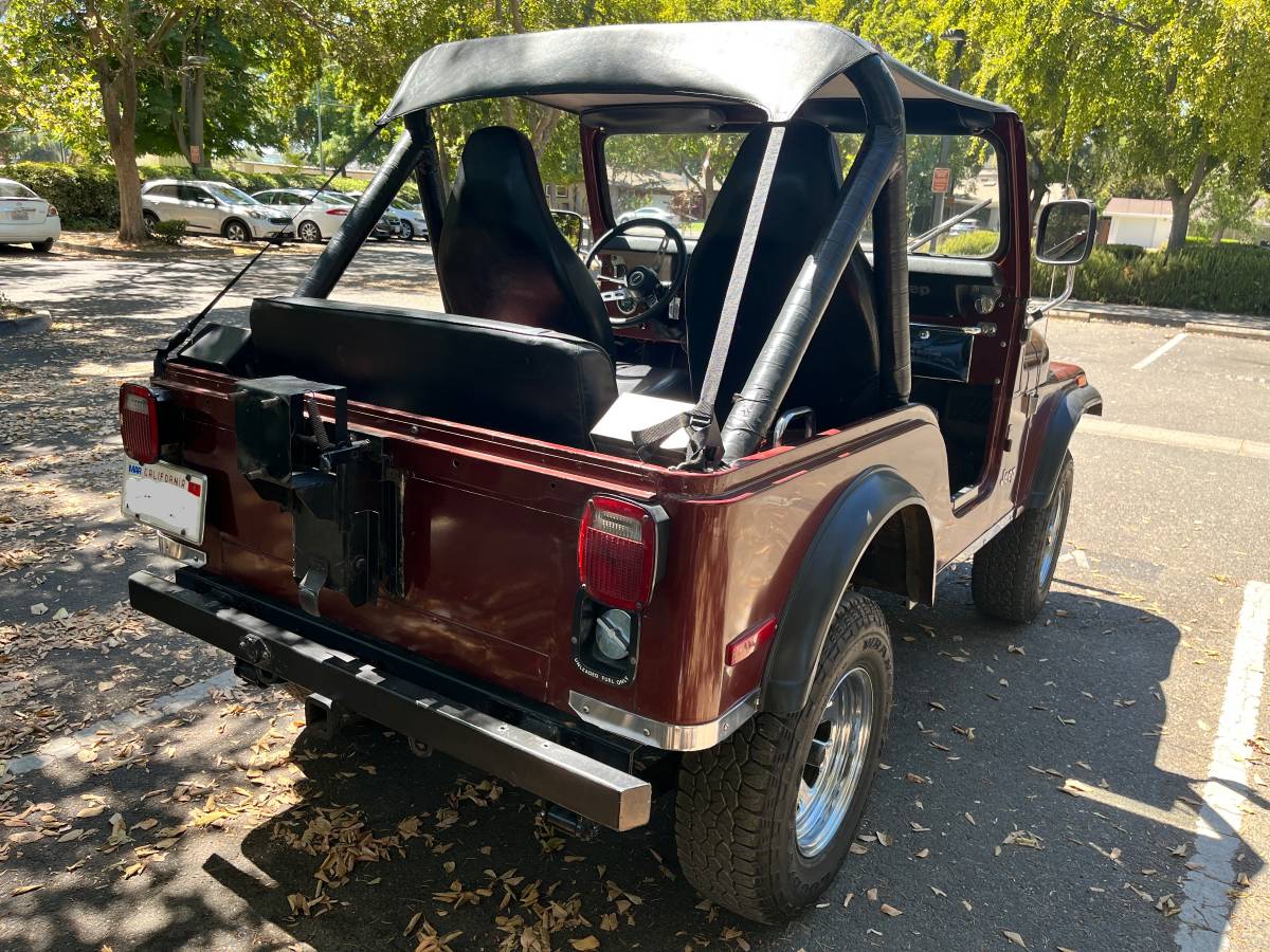 Jeep-cj-5-1979-5