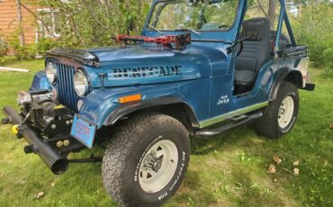 Jeep-cj5-1976-blue-2