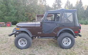 Jeep-cj5-1980-1