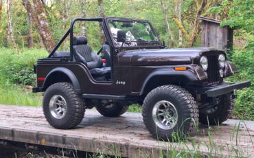 Jeep-cj5-1980-10