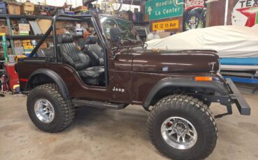 Jeep-cj5-1980-3