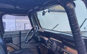 Jeep-cj5-1980-3