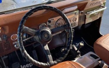 Jeep-cj5-1982-brown-11