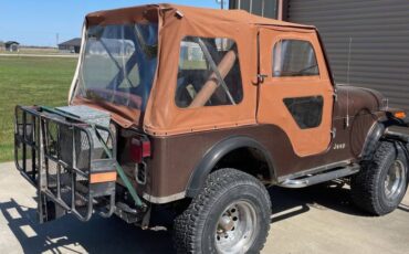 Jeep-cj5-1982-brown-2