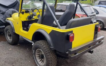 Jeep-cj5-v8-restored-1978-yellow-5