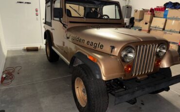 Jeep-cj7-golden-eagle-1979-brown-2