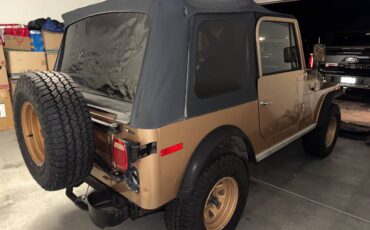 Jeep-cj7-golden-eagle-1979-brown-3
