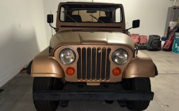 Jeep-cj7-golden-eagle-1979-brown-4