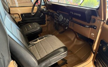 Jeep-cj7-golden-eagle-1979-brown-7