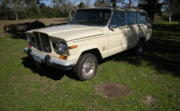 Jeep-grand-wagoneer-1985-11