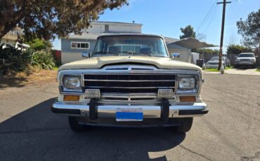 Jeep-grand-wagoneer-1986-custom-10