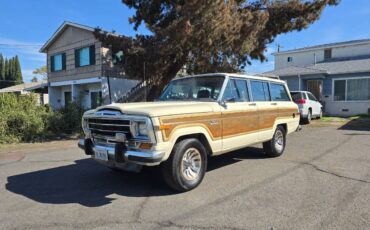 Jeep-grand-wagoneer-1986-custom-2