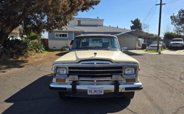 Jeep-grand-wagoneer-1986-custom-3