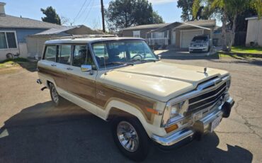 Jeep-grand-wagoneer-1986-custom-5