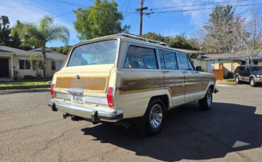 Jeep-grand-wagoneer-1986-custom-6