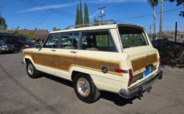 Jeep-grand-wagoneer-1986-custom-7