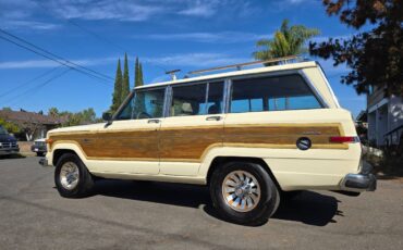 Jeep-grand-wagoneer-1986-custom-9