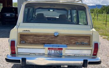 Jeep-grand-wagoneer-1988-yellow-11