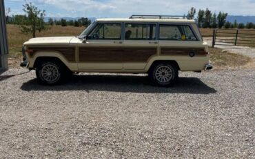 Jeep-grand-wagoneer-1988-yellow