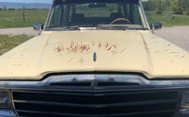 Jeep-grand-wagoneer-1988-yellow-6