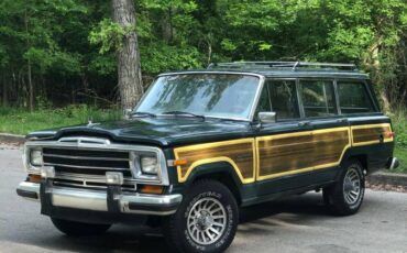 Jeep-grand-wagoneer-1990-green-13