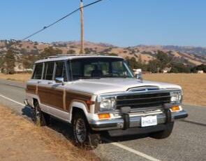 Jeep-grand-wagoneer-1990-white-4