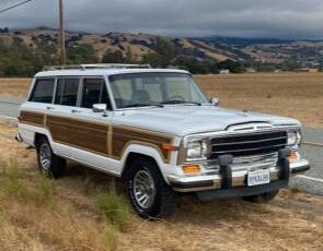 Jeep-grand-wagoneer-1990-white-5