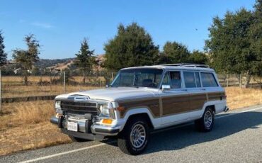 Jeep-grand-wagoneer-1990-white-6