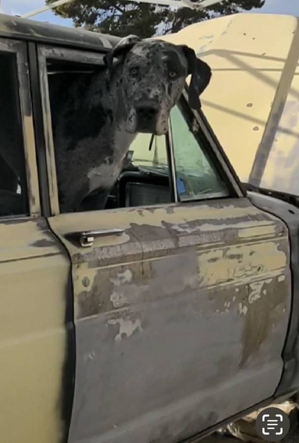 Jeep-wagoneer-1965-yellow-1