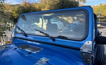 Jeep-wrangler-1987-13