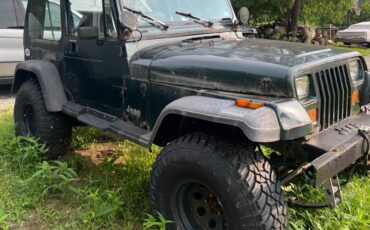 Jeep-wrangler-1988-green-3