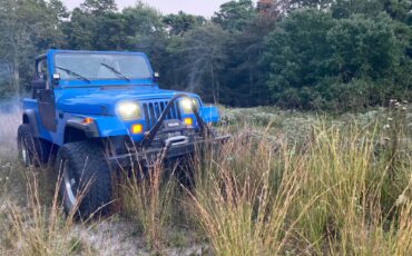 Jeep-wrangler-1989-blue-1