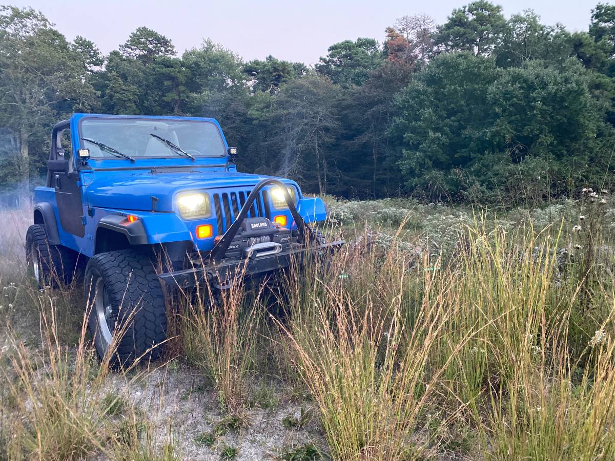 Jeep-wrangler-1989-blue-1